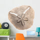 Irregular Sea Urchin White Wall Decal