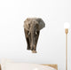 Elephant Wall Decal