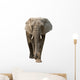 Elephant Wall Decal