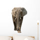 Elephant Wall Decal