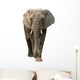 Elephant Wall Decal