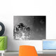 ormament in black Wall Mural