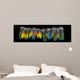 Macaw feather isolated on black background. BIg panorama. Wall Mural
