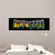 Macaw feather isolated on black background. BIg panorama. Wall Mural