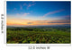 Sunrise at Beaujolais vineyard Wall Mural