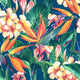 Tropical Seamless Pattern Wall Decal