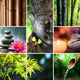 Oriental Culture - Mosaic With Buddha Wall Decal