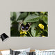 Butterfly Wall Decal