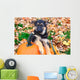 German Shepherd puppy sitting on pumpkins Wall Mural
