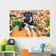German Shepherd puppy sitting on pumpkins Wall Mural