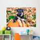 German Shepherd puppy sitting on pumpkins Wall Mural