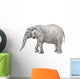 African elephant, Loxodonta africana Wall Decal