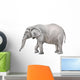 African elephant, Loxodonta africana Wall Decal