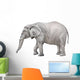 African elephant, Loxodonta africana Wall Decal
