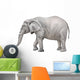 African elephant, Loxodonta africana Wall Decal