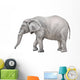 African elephant, Loxodonta africana Wall Decal