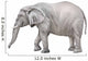 African elephant, Loxodonta africana Wall Decal