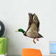 Mallard Drake Flight Wall Decal