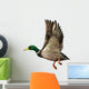 Mallard Drake Flight Wall Decal