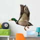 Mallard Drake Flight Wall Decal