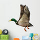 Mallard Drake Flight Wall Decal