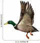 Mallard Drake Flight Wall Decal