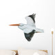 American White Pelican Wall Decal