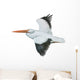 American White Pelican Wall Decal