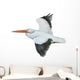 American White Pelican Wall Decal