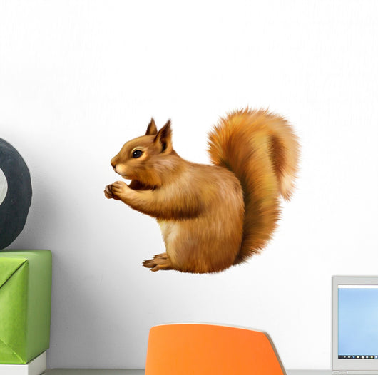 Red Squirrel, Sciurus Vulgaris, sitting eating Wall Decal