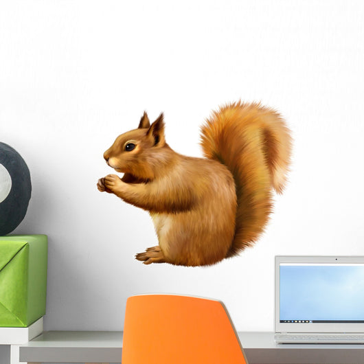 Red Squirrel, Sciurus Vulgaris, sitting eating Wall Decal