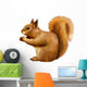 Red Squirrel, Sciurus Vulgaris, sitting eating Wall Decal