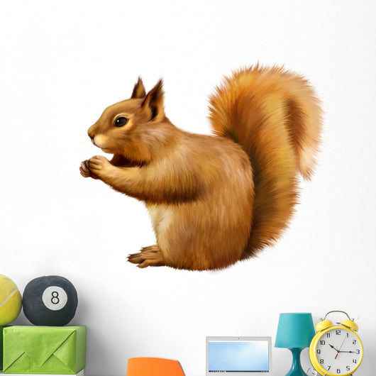 Red Squirrel, Sciurus Vulgaris, sitting eating Wall Decal
