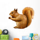 Red Squirrel, Sciurus Vulgaris, sitting eating Wall Decal
