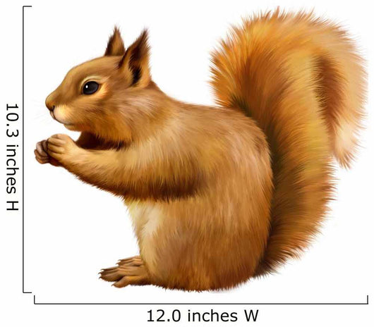 Red Squirrel, Sciurus Vulgaris, sitting eating Wall Decal