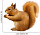 Red Squirrel, Sciurus Vulgaris, sitting eating Wall Decal