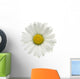 Daisy Wall Decal