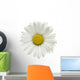 Daisy Wall Decal