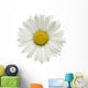Daisy Wall Decal
