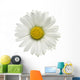 Daisy Wall Decal