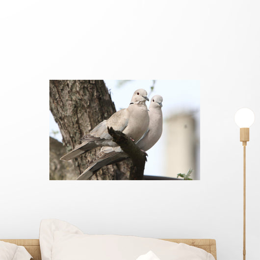 Turtle-doves on tree Wall Mural