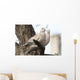 Turtle-doves on tree Wall Mural
