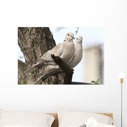 Turtle-doves on tree Wall Mural