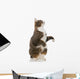 Playful Grey Cat Wall Decal