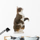 Playful Grey Cat Wall Decal