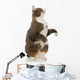 Playful Grey Cat Wall Decal
