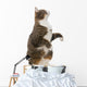 Playful Grey Cat Wall Decal