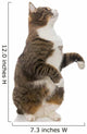 Playful Grey Cat Wall Decal