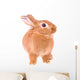 Rabbit Wall Decal