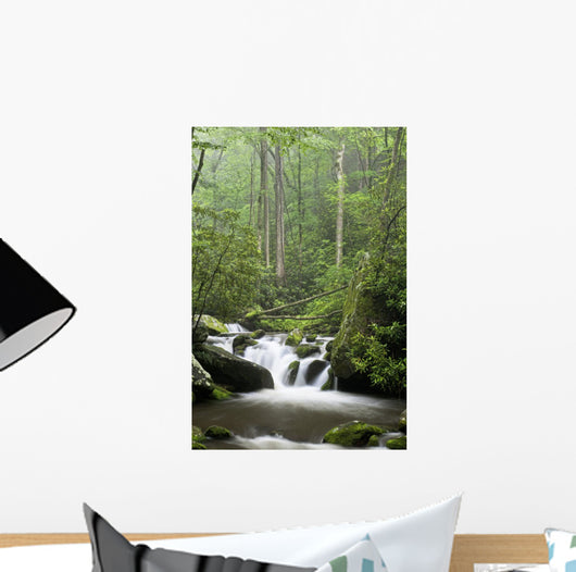 Relaxing scenic in the Great Smoky Mountains Wall Mural